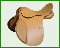 Click here to see complete image