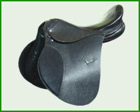 Click here to see complete image