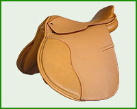 Click here to see complete image