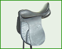 Click here to see complete image