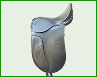 Click here to see complete image