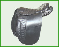 Click here to see complete image