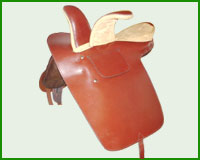 Click here to see complete image