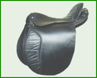 Click here to see complete image