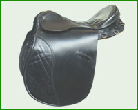 Click here to see complete image