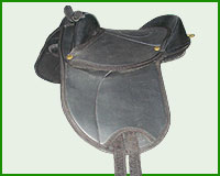 Click here to see complete image