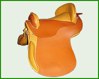 Click here to see complete image