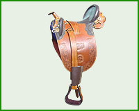 Click here to see complete image