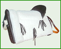 Click here to see complete image