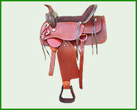 Click here to see complete image