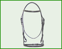 Click here to see complete image