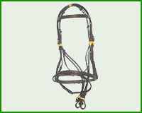 Click here to see complete image