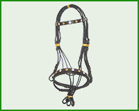 Click here to see complete image