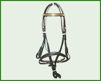 Click here to see complete image