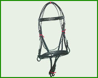 Click here to see complete image