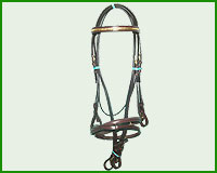 Click here to see complete image