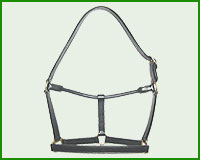 Click here to see complete image