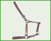 Click here to see complete image