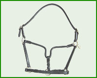 Click here to see complete image