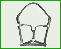 Click here to see complete image