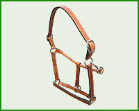 Click here to see complete image