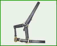 Click here to see complete image