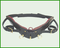 Click here to see complete image