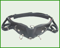 Click here to see complete image