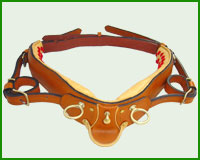 Click here to see complete image