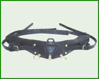 Click here to see complete image