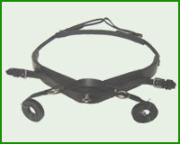 Click here to see complete image