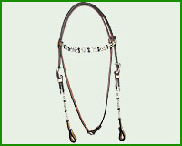 Click here to see complete image