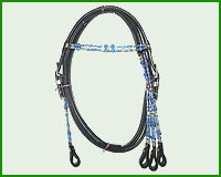 Click here to see complete image