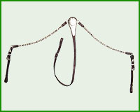 Click here to see complete image