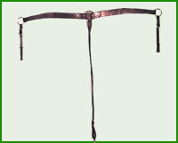 Click here to see complete image