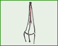 Click here to see complete image