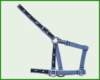 Click here to see complete image