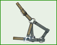 Click here to see complete image