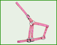 Click here to see complete image