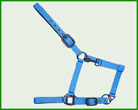 Click here to see complete image